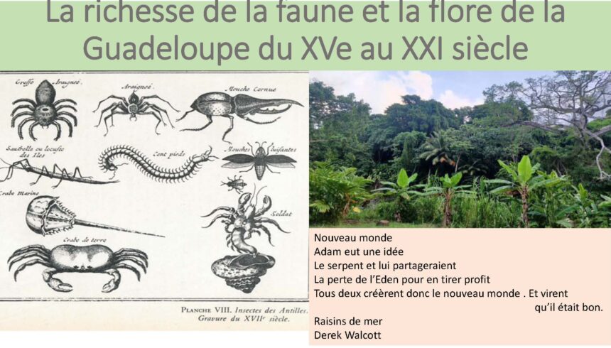 combiné_Page_018