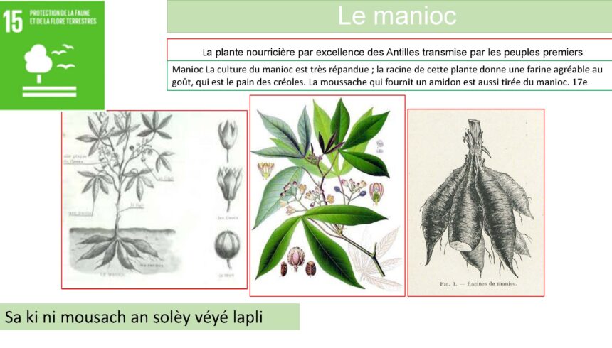 combiné_Page_019