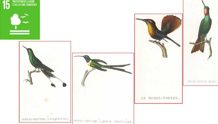 combiné_Page_029