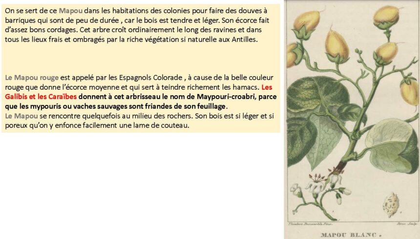 combiné_Page_040