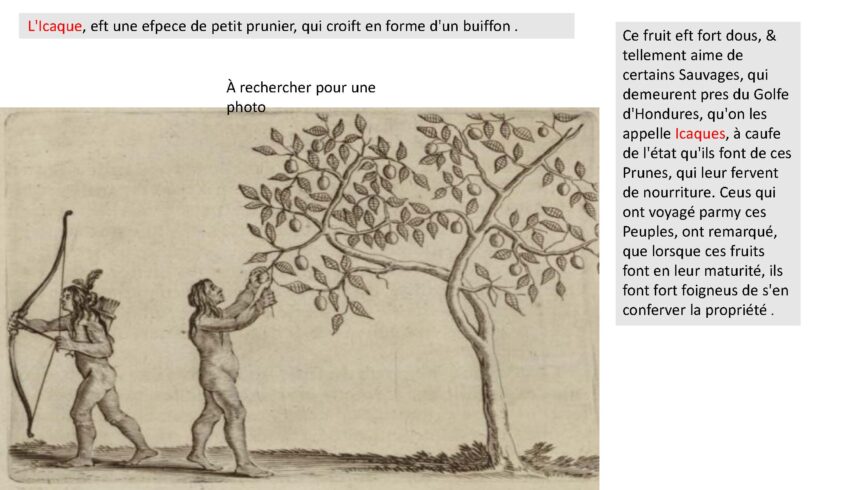 combiné_Page_041