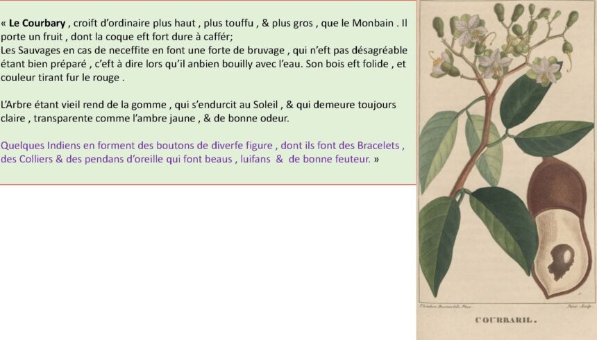 combiné_Page_042