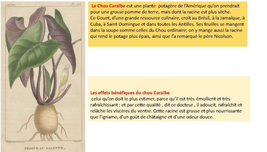 combiné_Page_045