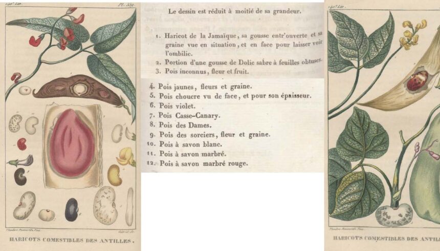 combiné_Page_048