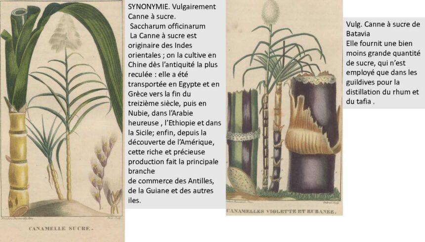 combiné_Page_050