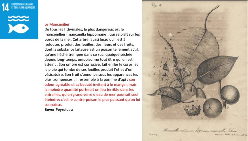 combiné_Page_052