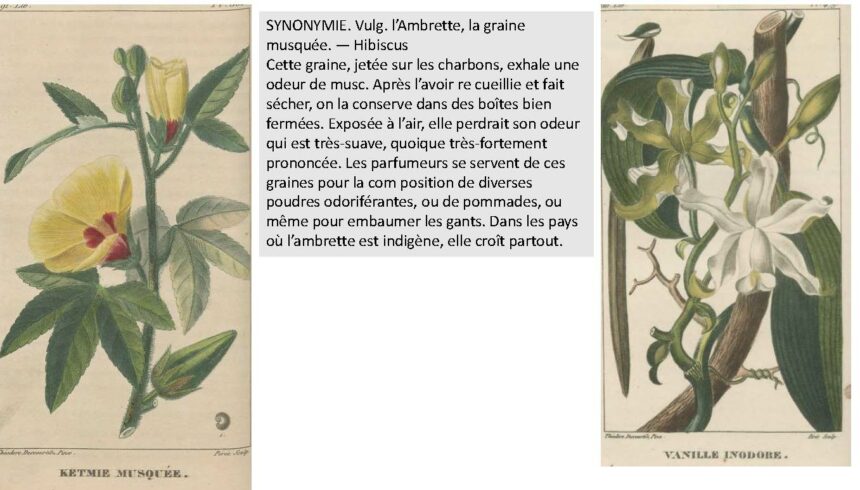 combiné_Page_061