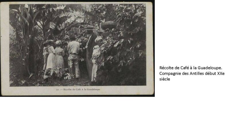 combiné_Page_081