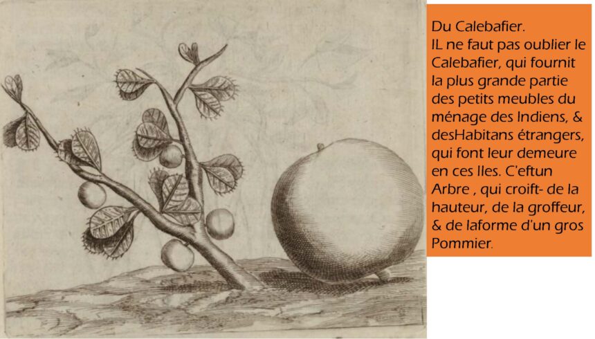 combiné_Page_105