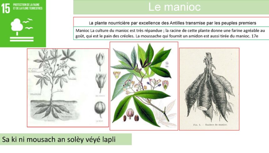 combiné_Page_107