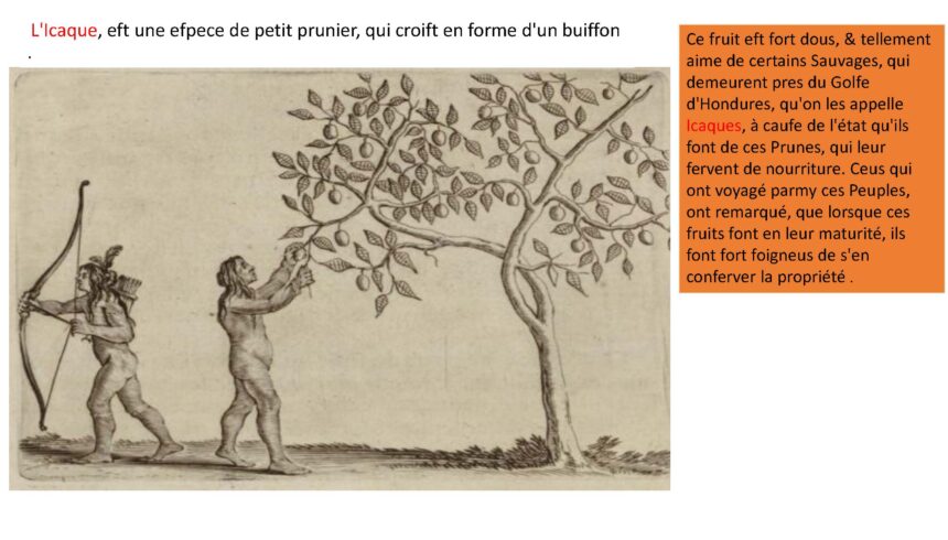 combiné_Page_109