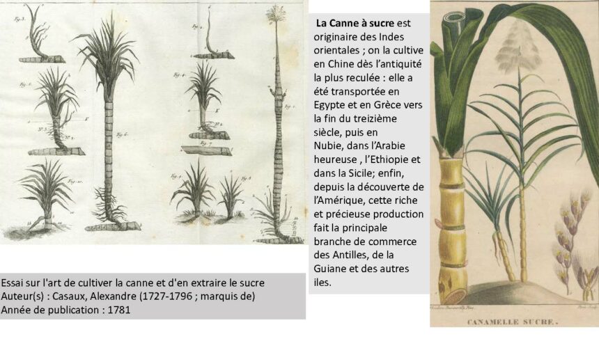 combiné_Page_123