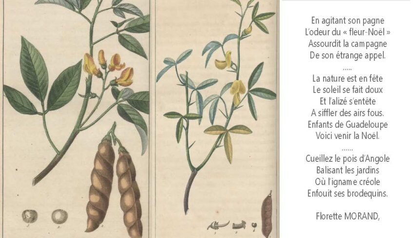 combiné_Page_131