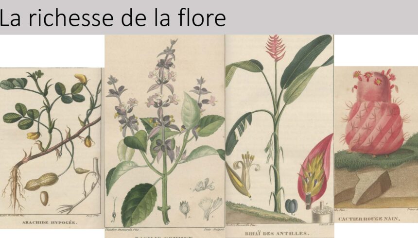 combiné_Page_134