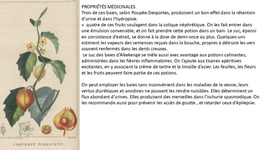 combiné_Page_151